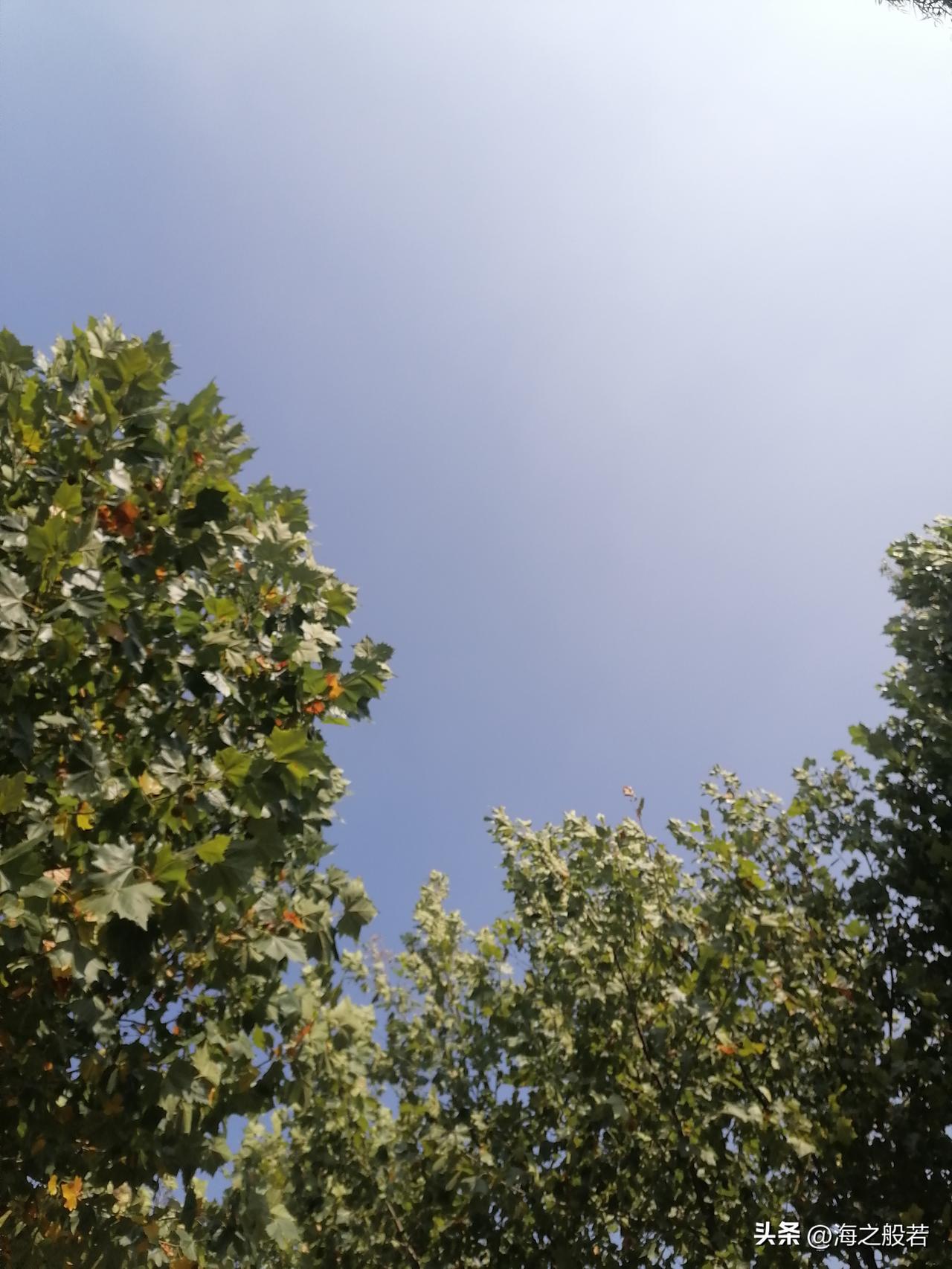 北京今日（9月30日）晴，偏北风3‑4级、阵风6‑7级，气温10‑20℃，大风蓝