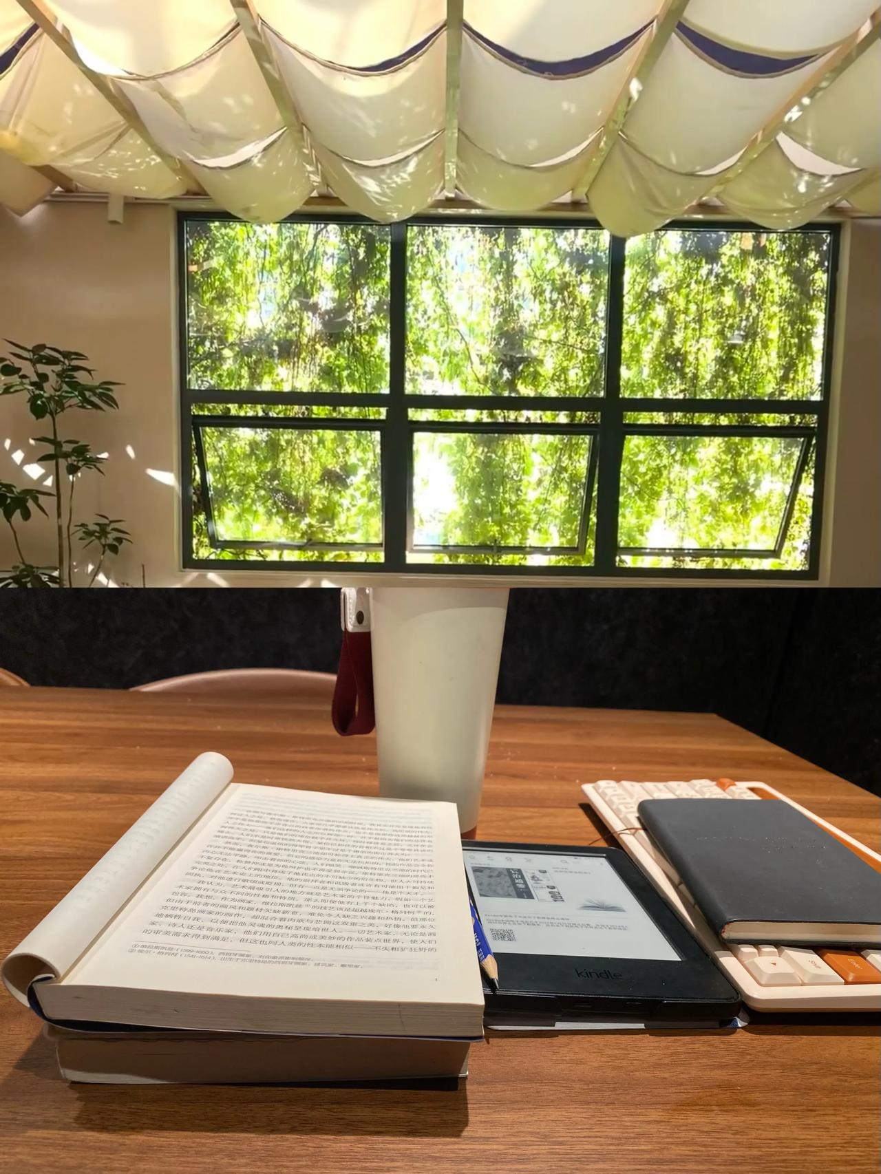 在秋天，尽情地酗书吧！

字写的多了，就想赶紧回到书中，不然会有一种被掏空和偏离