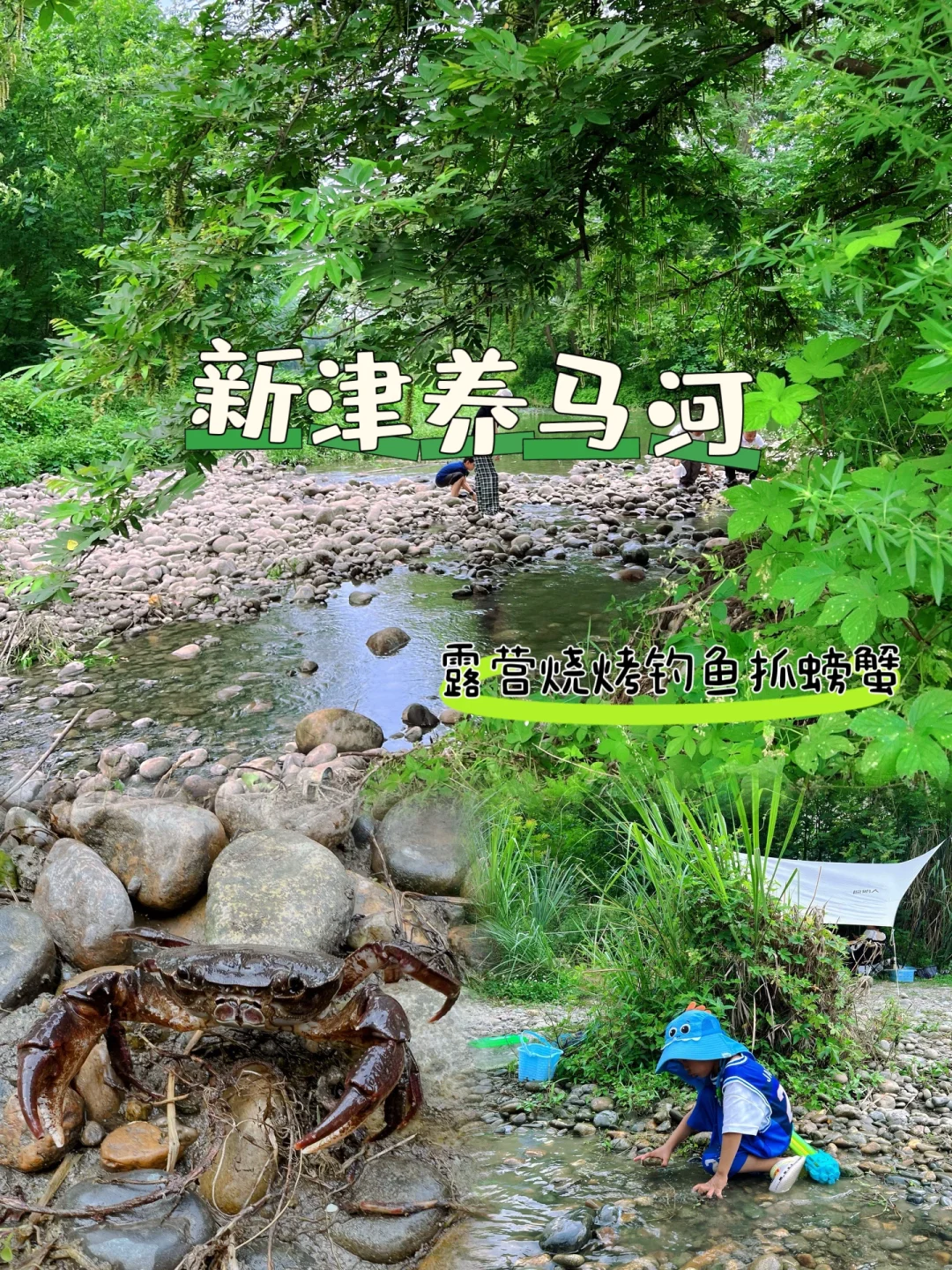 南门出发50分钟‼️羊马河抓螃蟹露营钓鱼烧烤