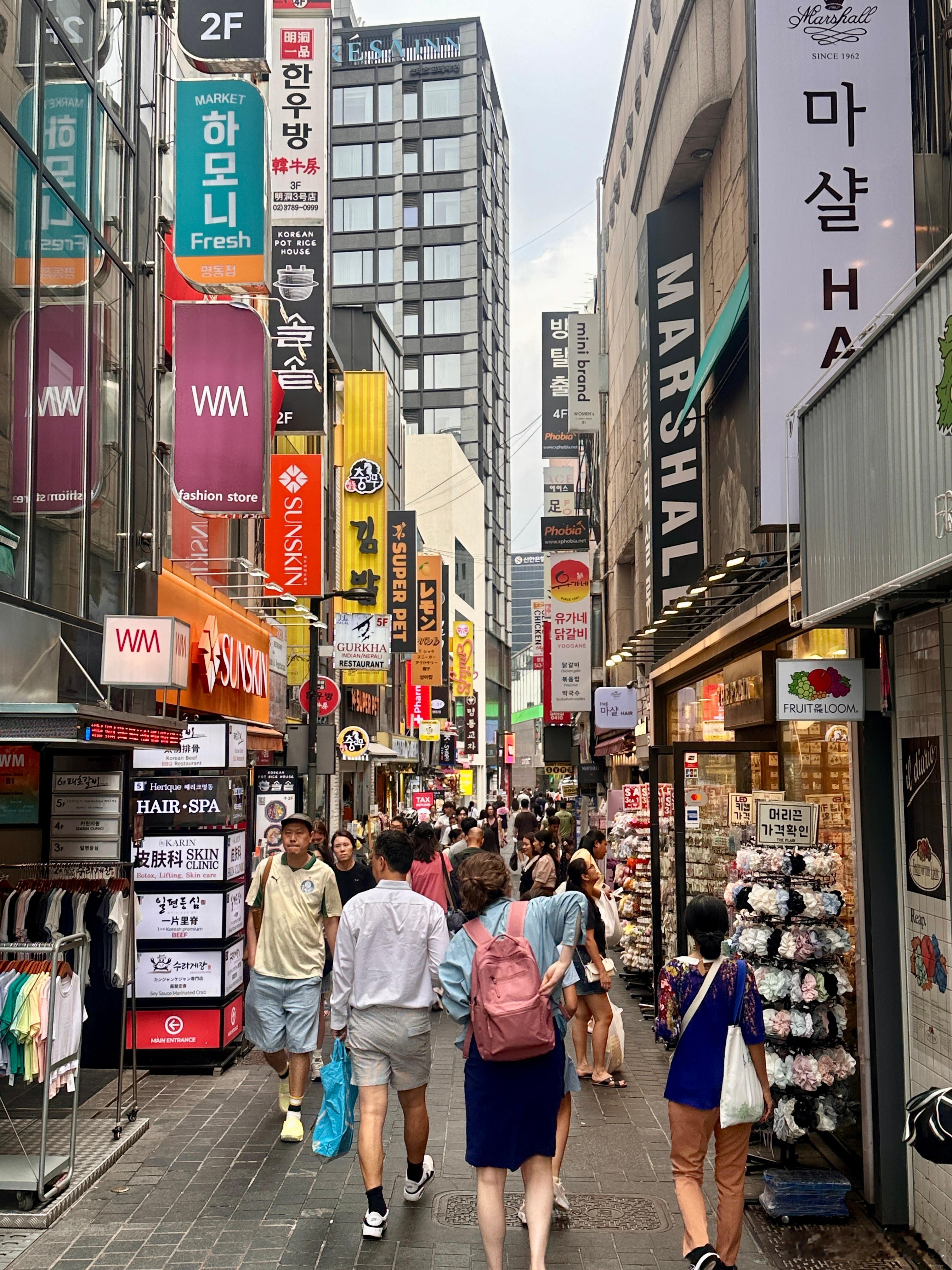 一些随手拍我的元气假期大学生喜爱内容共创计划夏日无限季