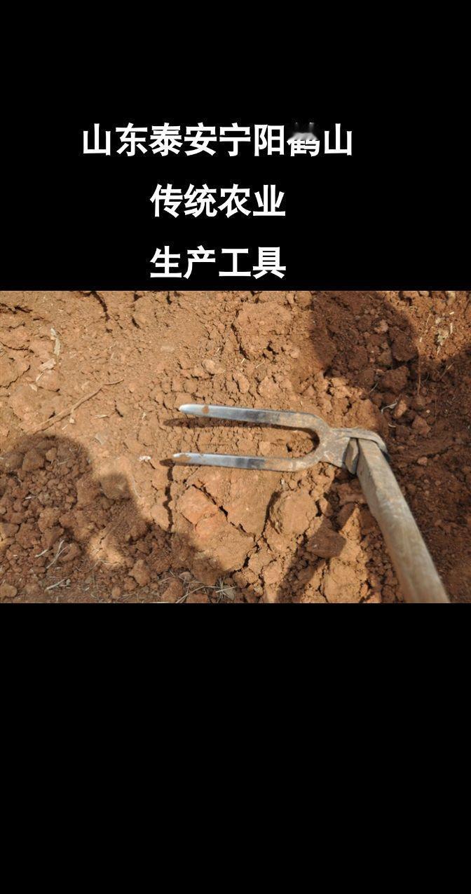 #传统#历史#老家#宁阳#山东