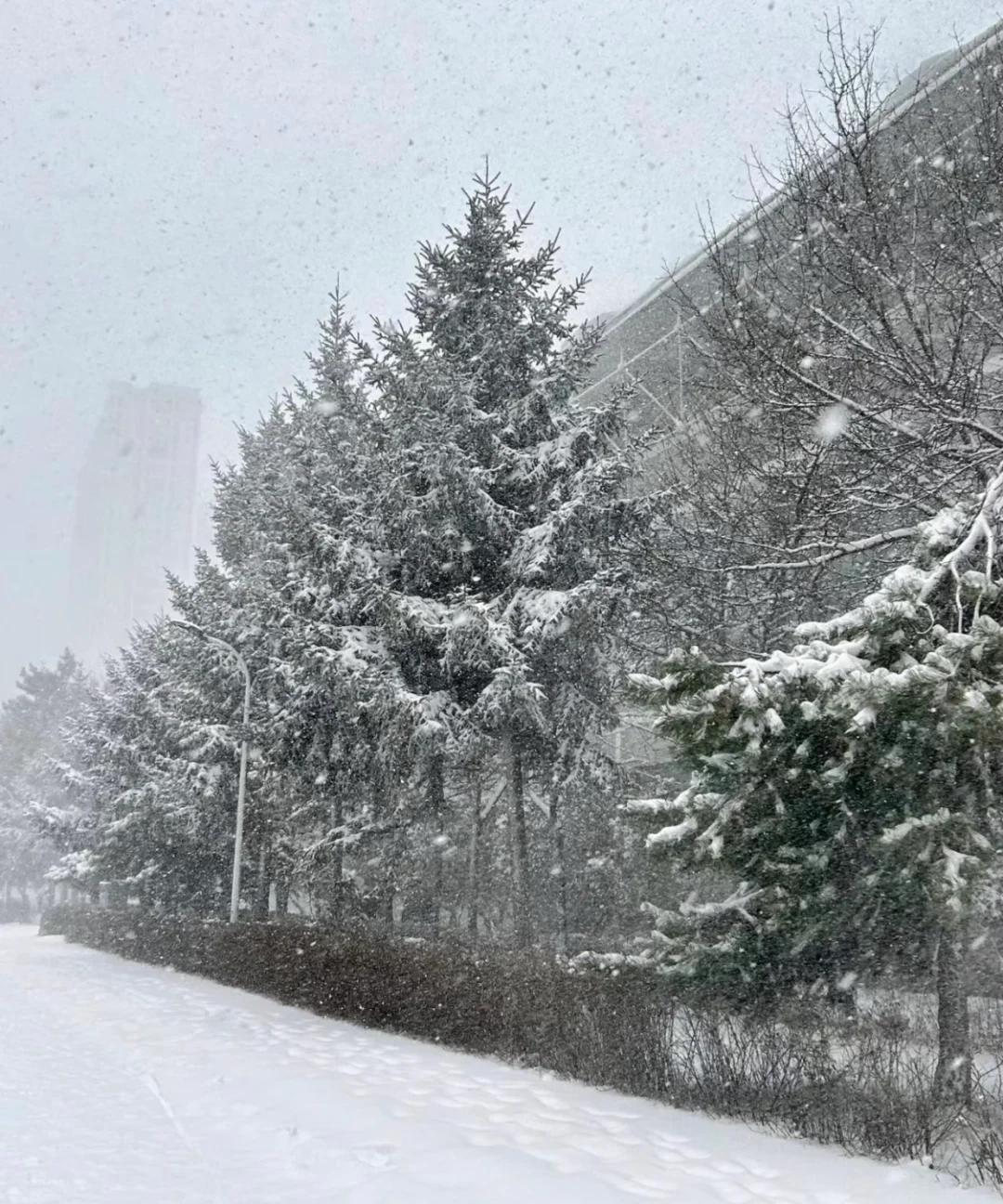 日本北海道数千中国游客大雪滞留机场，高喊“国家包机接回”，把大使馆的忠告抛之脑后