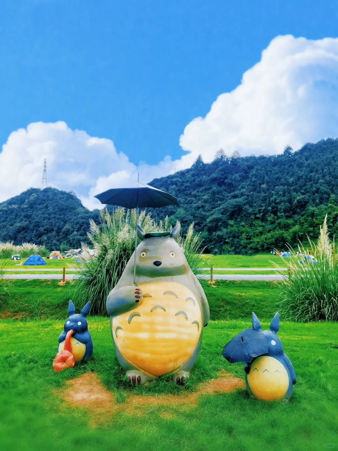 🎉杭州周边游新宠儿！风之谷打卡全攻略来啦！