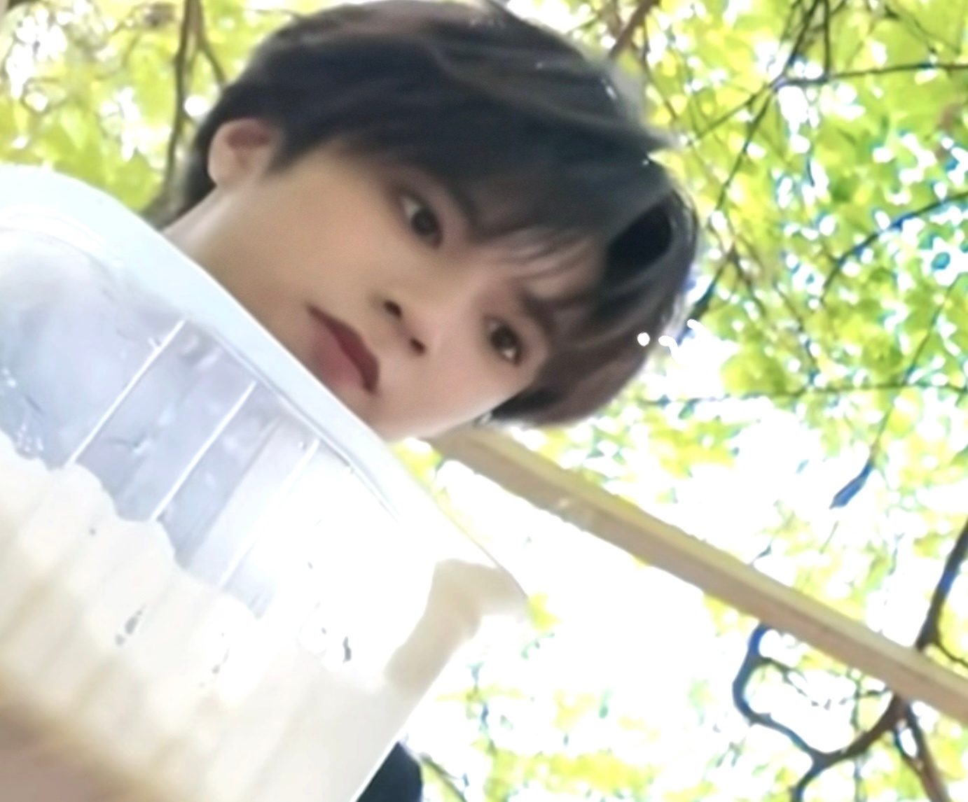 只是一味地观看 