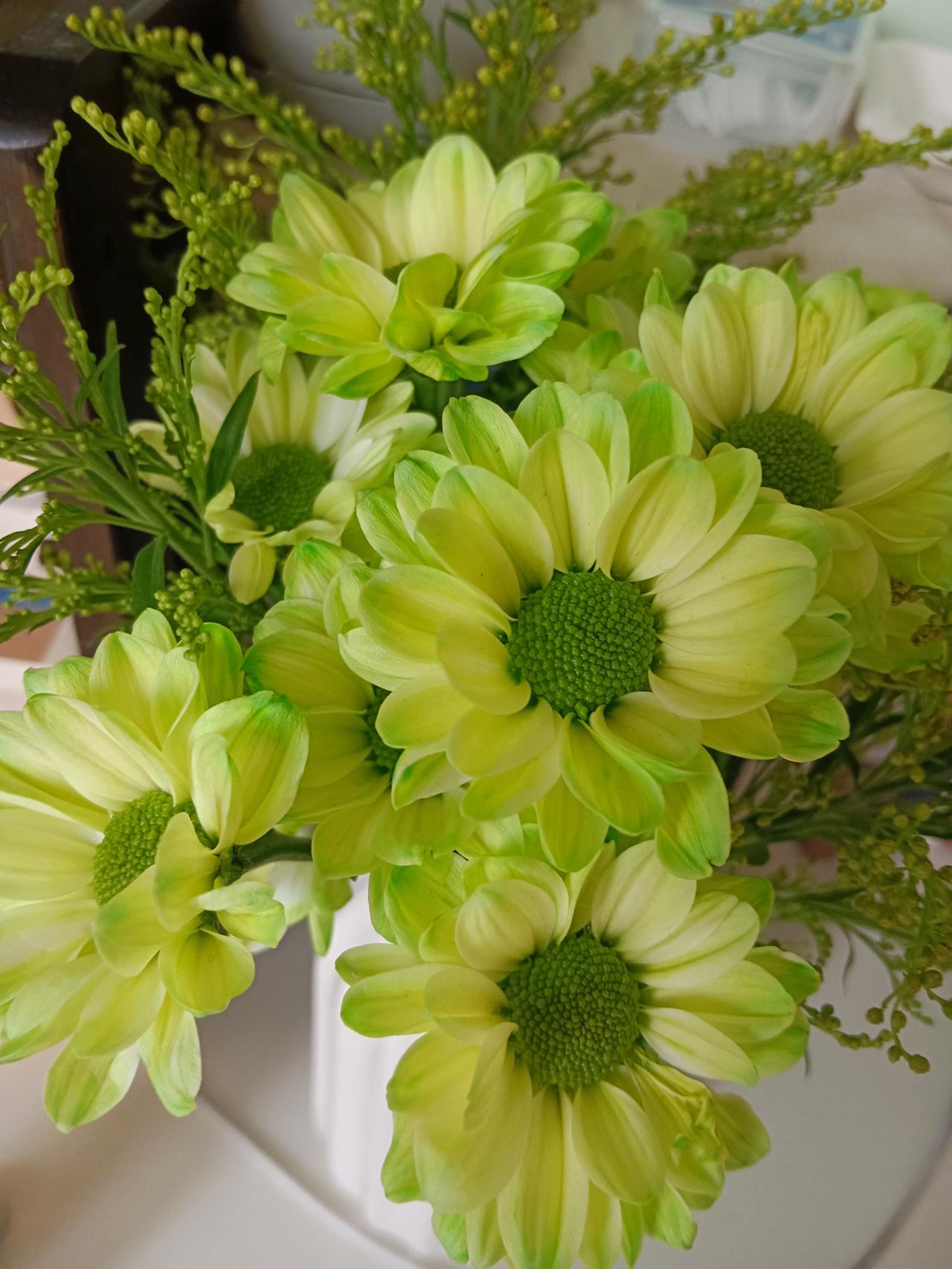 身处逆境身处劣势该怎么办? 



人生之路，难免会遇到不顺。逆境虽当下艰难，但