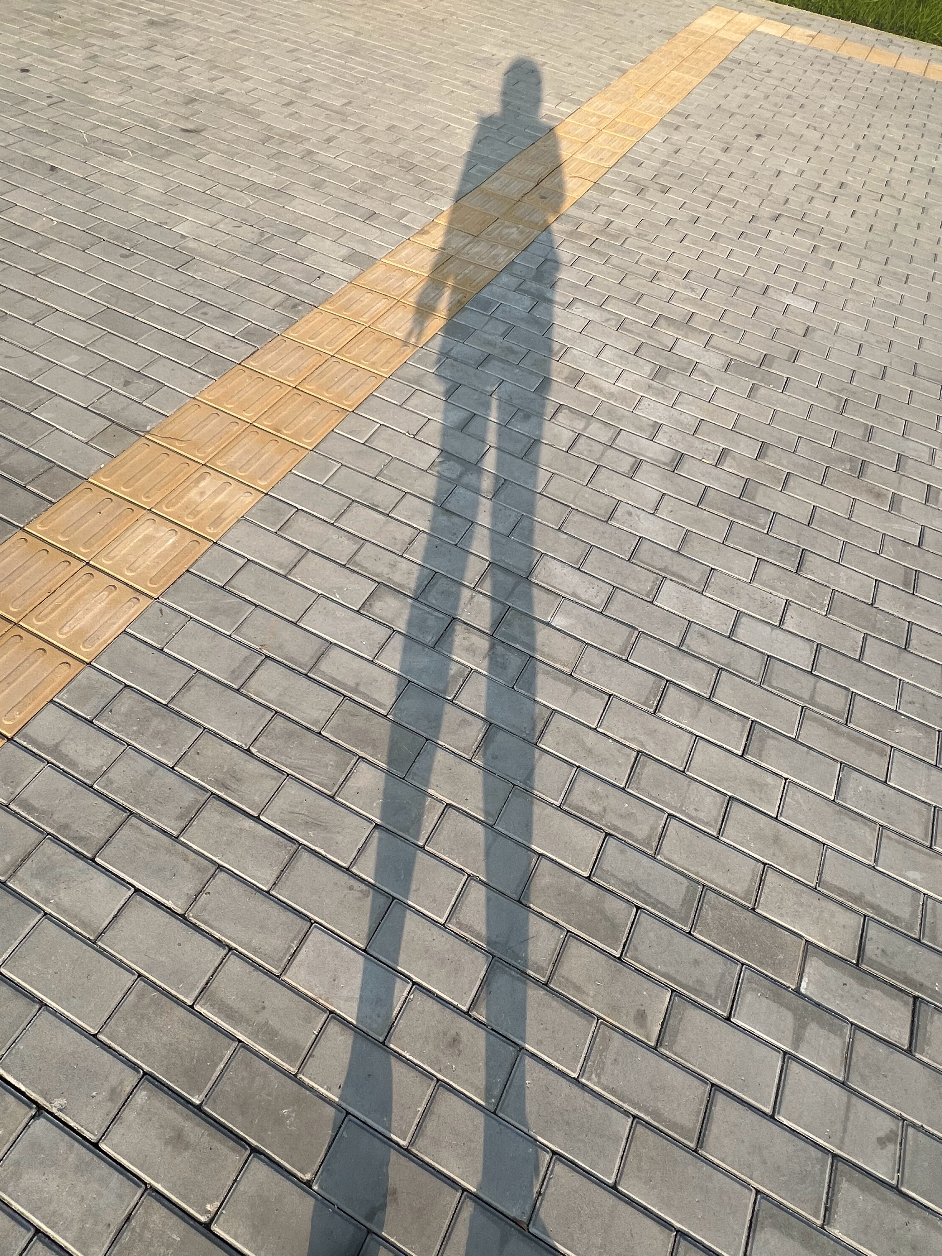 看！长腿怪！！！ 