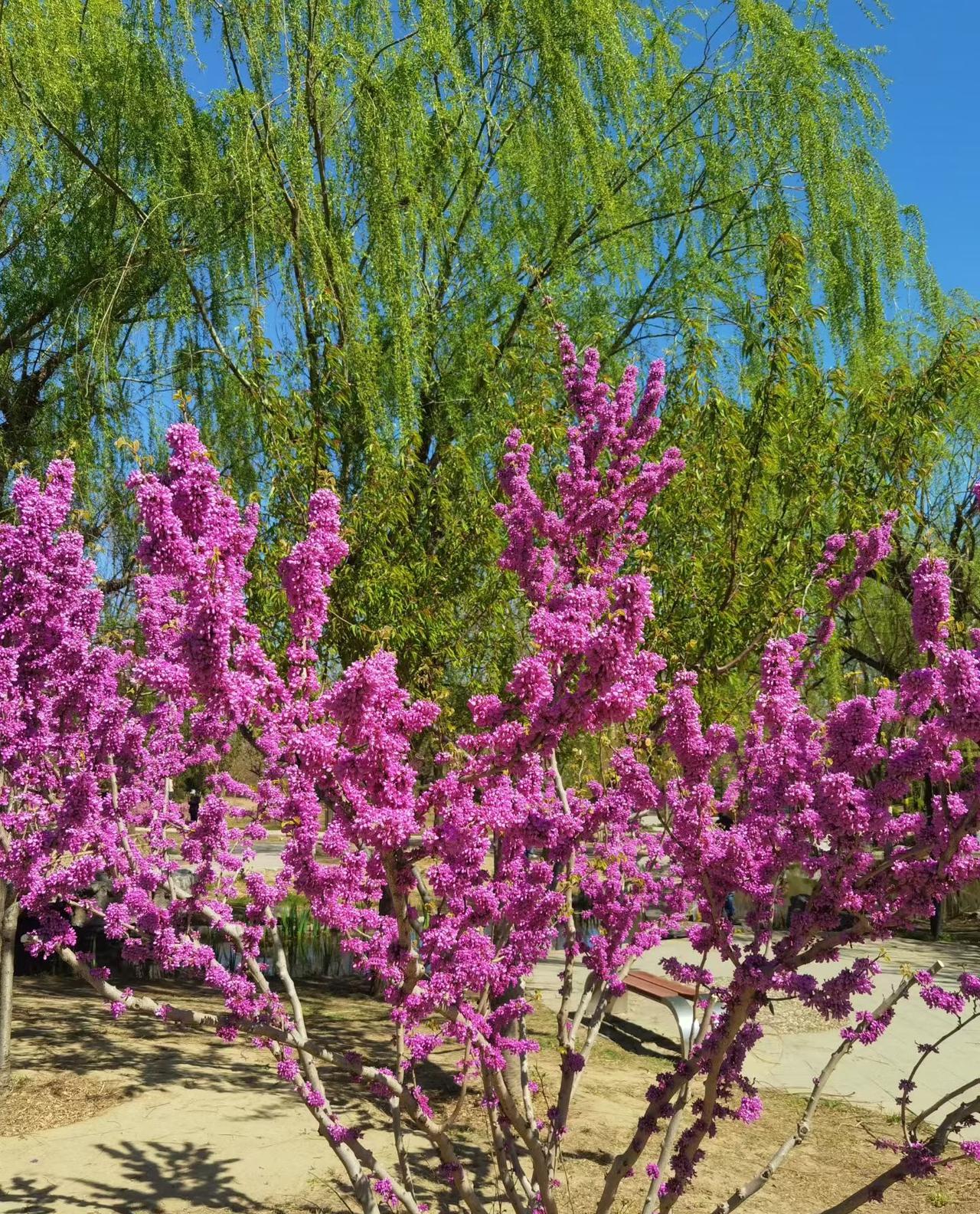 奉劝大家，在能出去的时候多出去看看美景，在能吃的时候多吃美食，在该享受的时候适度