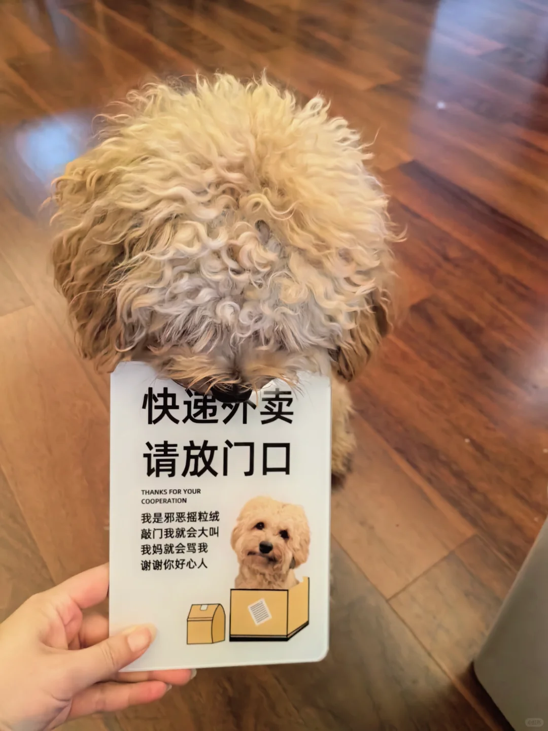 你是觉得很好吃吗哈哈