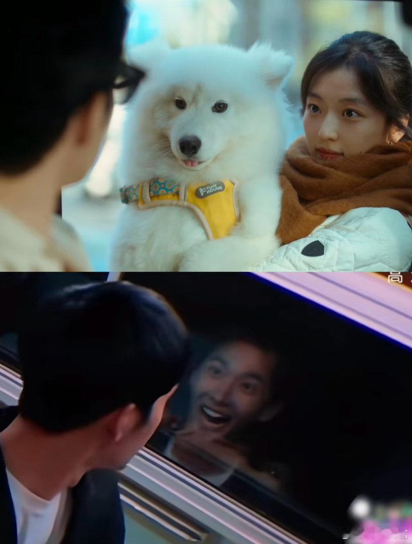 杨洋看井柏然VS卢克看栾念早春晴朗和花少2的羁绊 井柏然这样的场面你也似曾相识吧