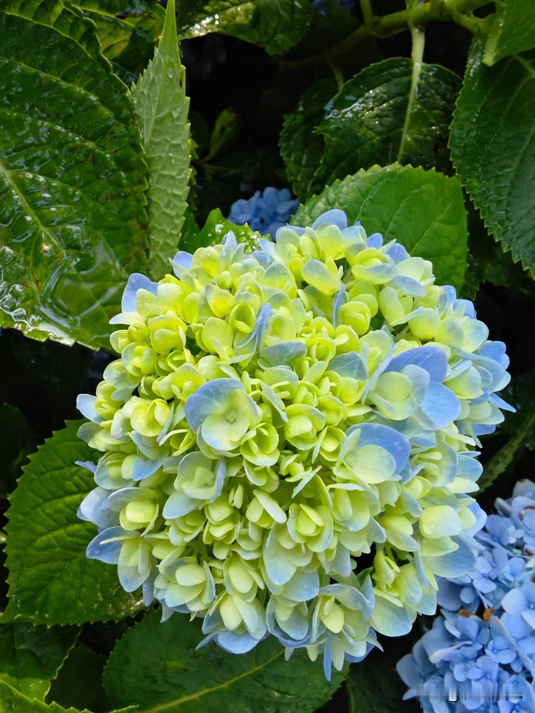 [太阳][太阳]做自己喜欢的事情
奔赴真实简单的生活[玫瑰]
希望这世上所有美好