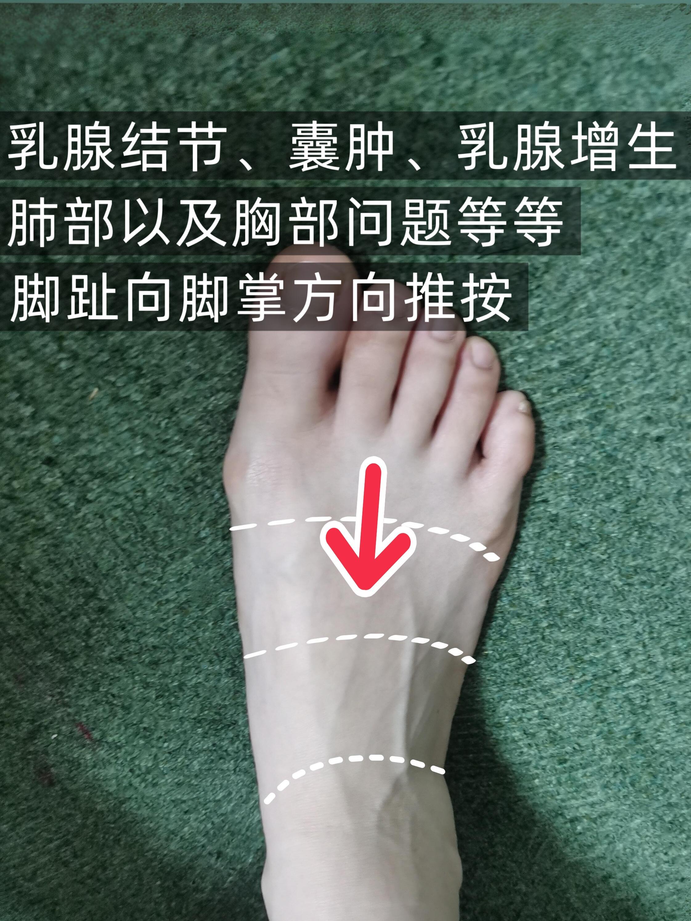 乳腺结节、囊肿、乳腺增生、心肺问题中医养生心肝脾肺肾穴位养生 ​​​