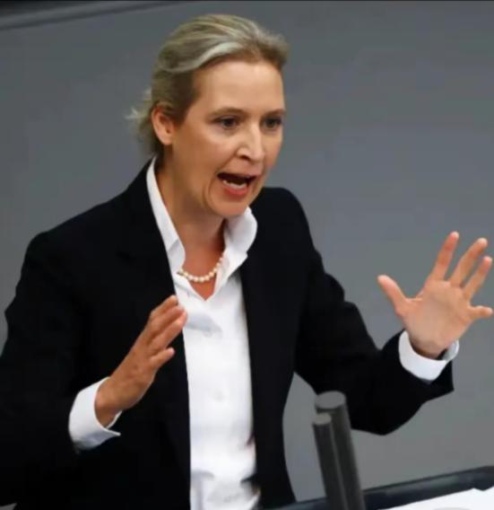 魏德尔在德国议会公开斥责德国总理默茨：“你是个演员，对德国民众说没有钱，转头却要