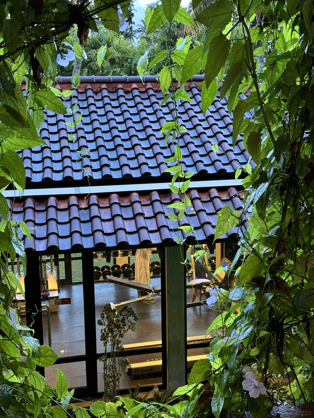 海边酒店最迷人即泳池连海连粉紫色晚🩷🩵