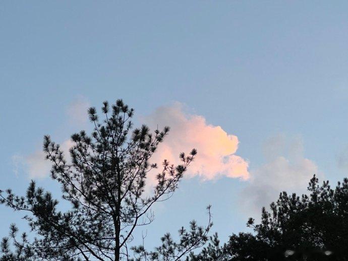 #三伏天养生指南# 久坐伤肉反省一下自己最近的岁月，开车时间超级多，有的地方便觉