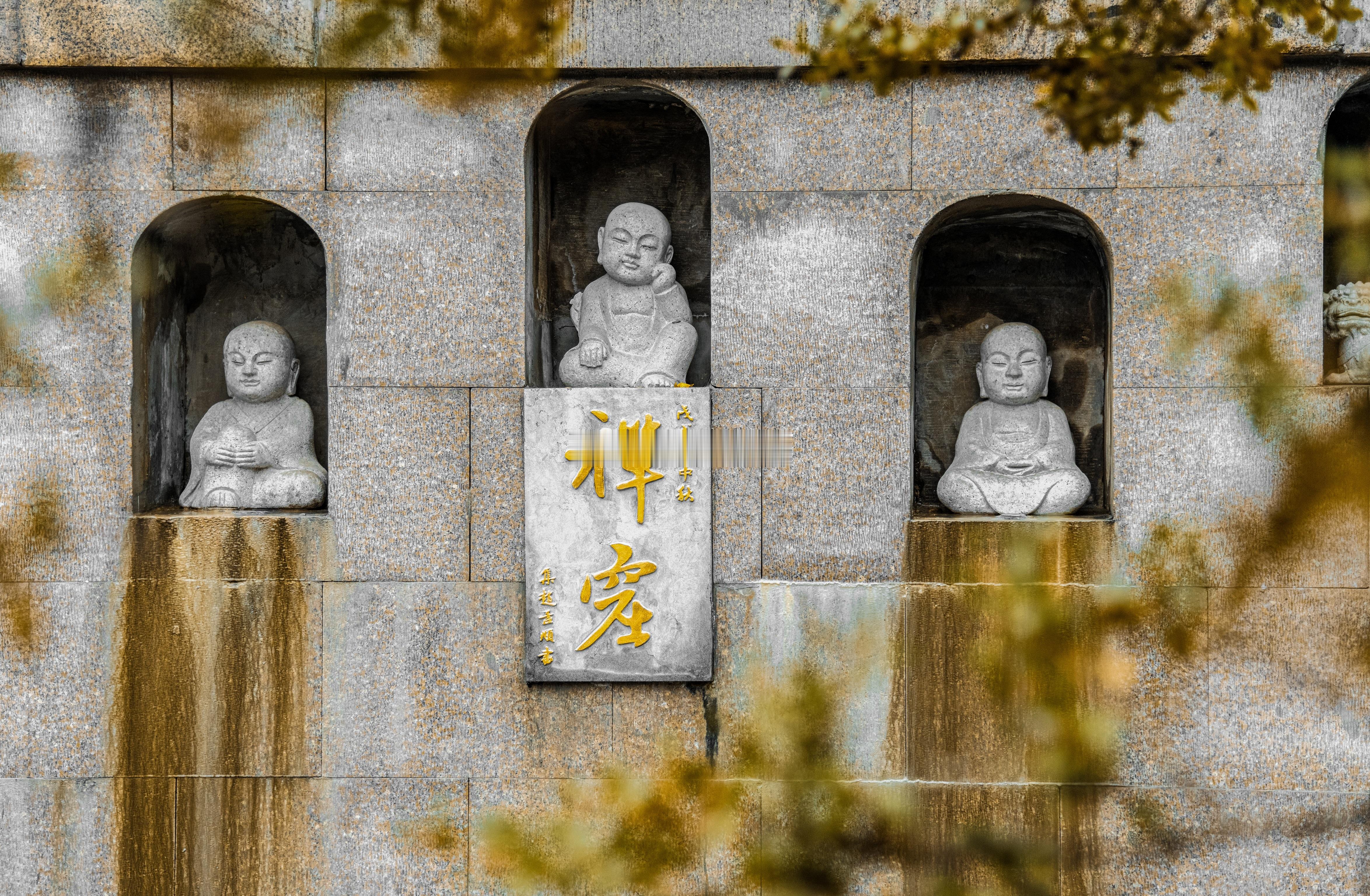 生活中总会有一些让自己不开心的人和事，懂得放下，随遇而安。 ​​​
