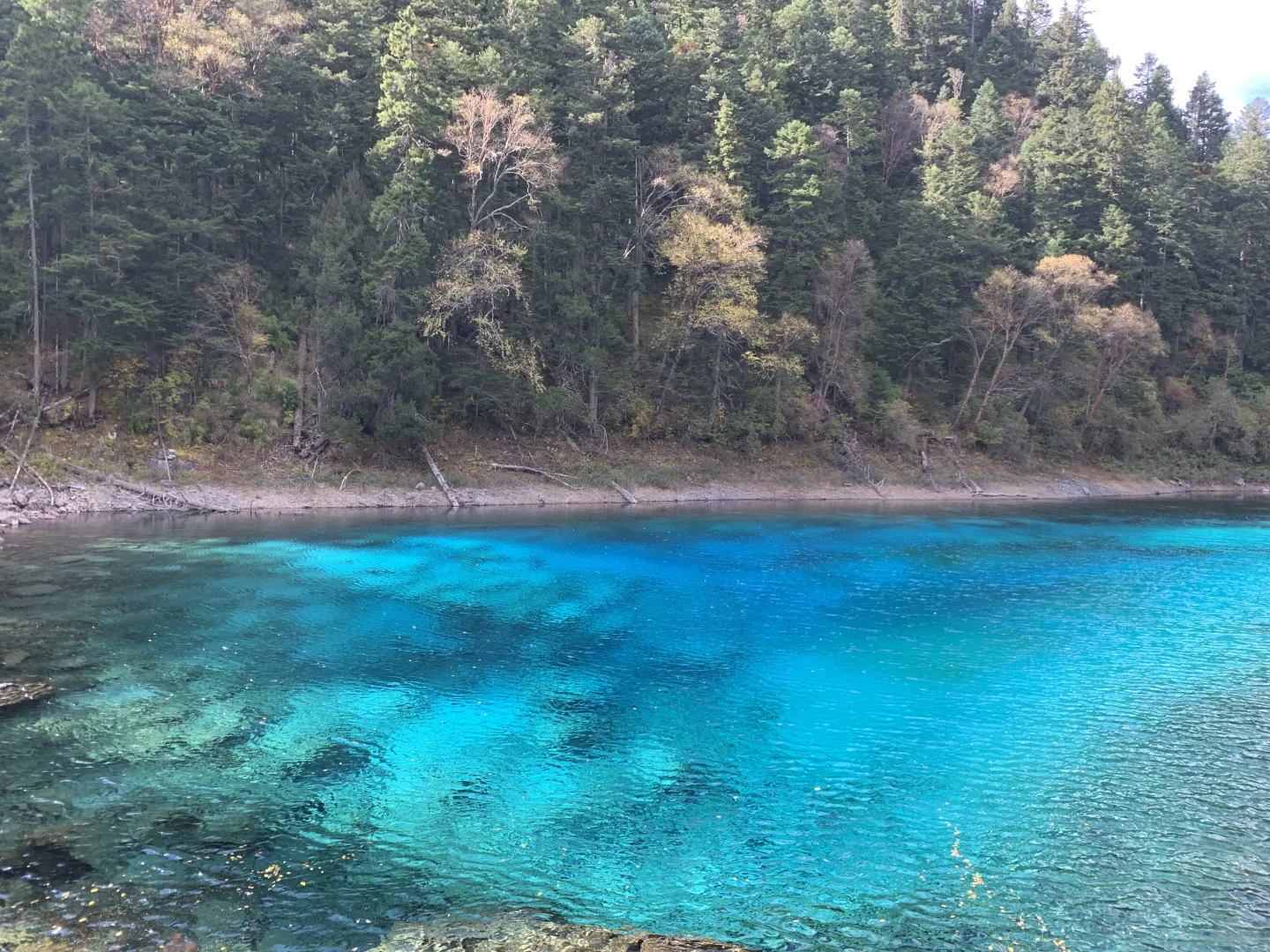 一张九寨沟