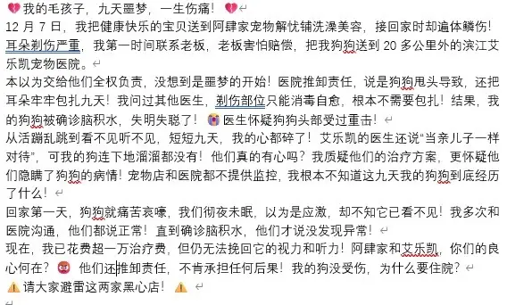 我的狗狗被宁波阿肆家宠物店治瞎了。💔九天噩梦！我的狗狗被“治”到失明...