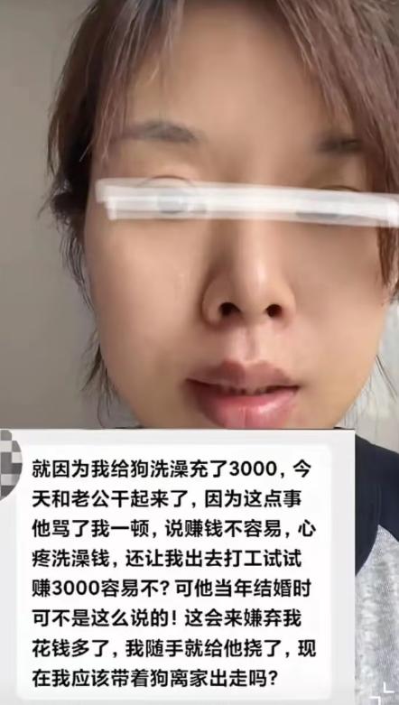 女子给狗充了3000元洗澡卡，丈夫知道后大发雷霆，说女子败家，对狗都比对他好！而
