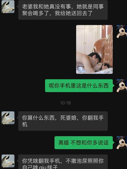 男人先发消息狡辩，说只是送喝醉的女同事回家，两人清清白白。 老婆直接甩出床上亲密