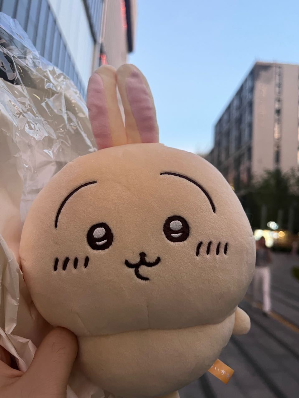 迎接小脚偶乌回家！！小脚偶就是最萌的！！ 