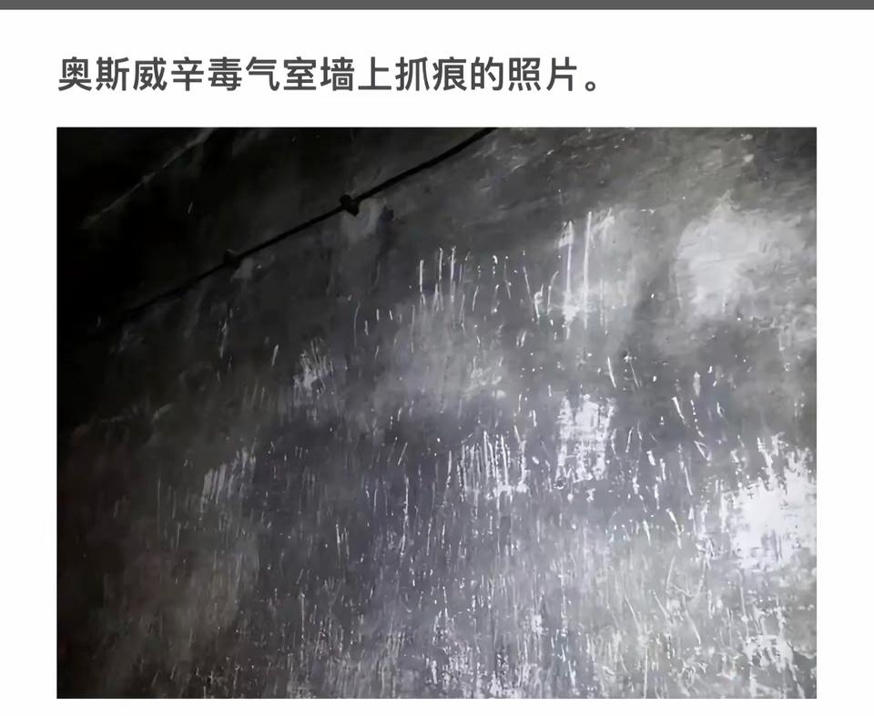 奥斯威辛毒气室的阴森抓痕，历史伤痕触目惊心。