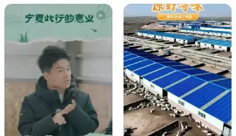 董宇辉和董董把直播间搬到盐池牧场，俩人换上胶鞋就跳进羊圈，三轮车一拧油门冲得比羊