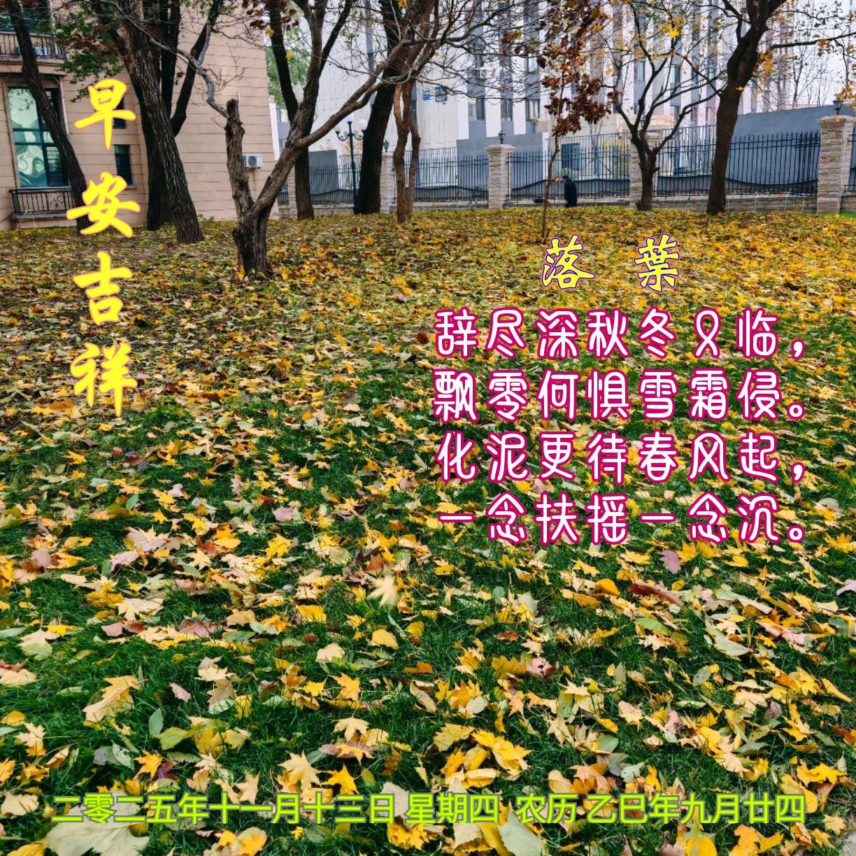 《落叶》
辞尽深秋冬又临，
飘零何惧雪霜侵。
化泥更待春风起，
一念扶摇一念沉。