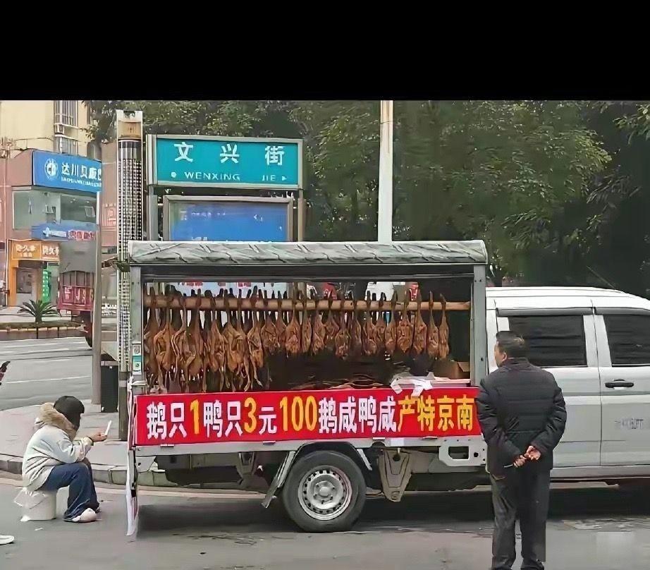 看了半天没有看明白，到底多少钱一只？