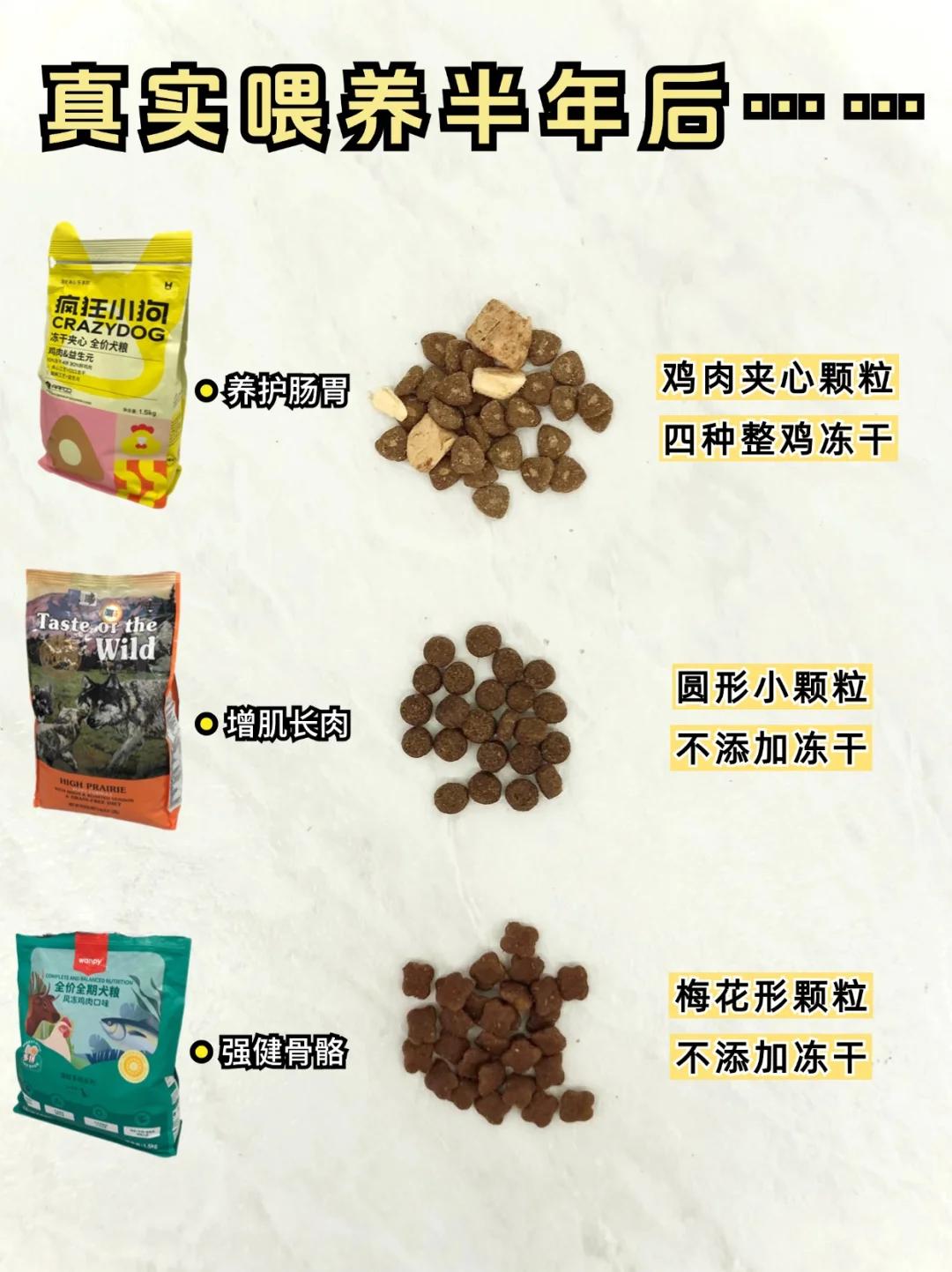 真实养狗半年后狗粮分享