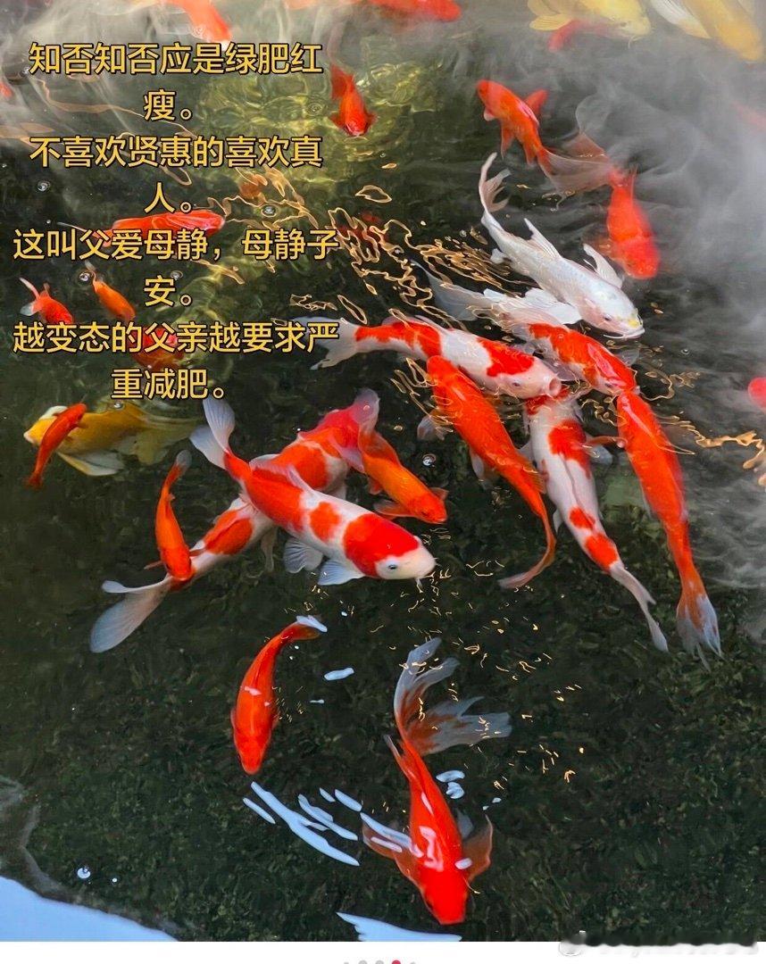 传说海瑞饿死自己女儿，因为性羞耻。 