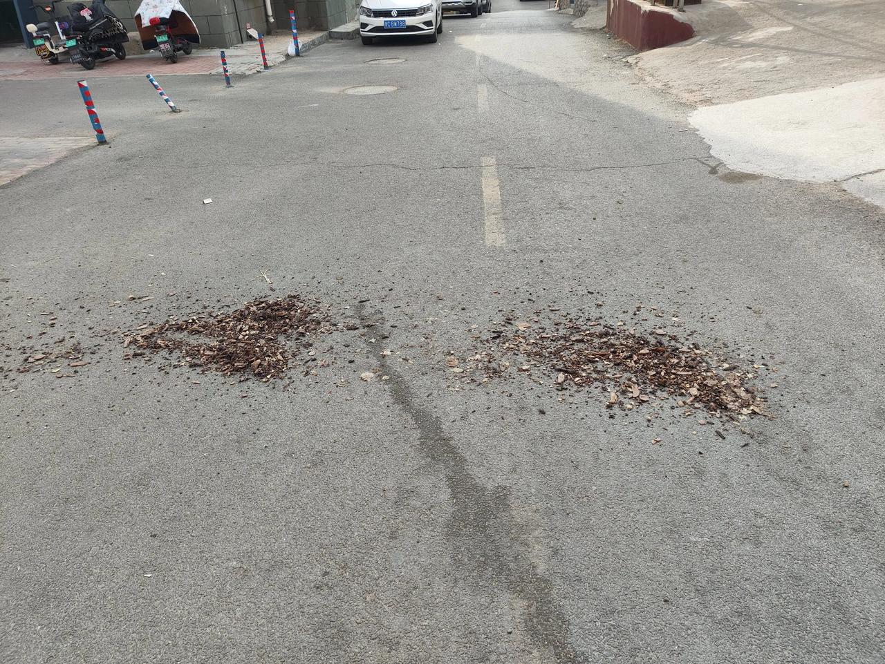 用过的中药渣为啥扔在马路上？你们知道为什么吗？？？