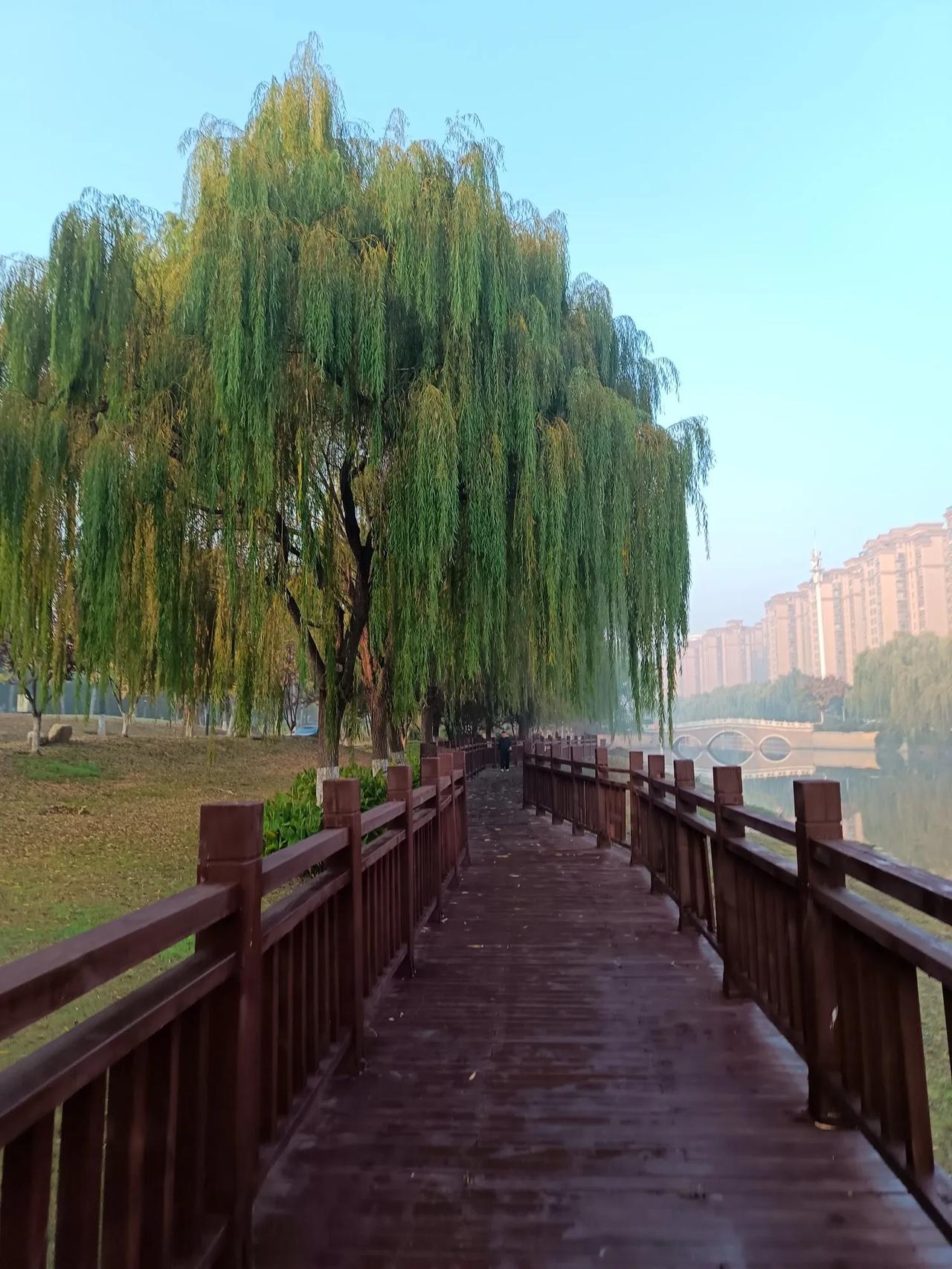 一觉醒来，又是一个崭新的黎明。

就这么稀松平常的一天，有的人还在跟死神搏斗，才