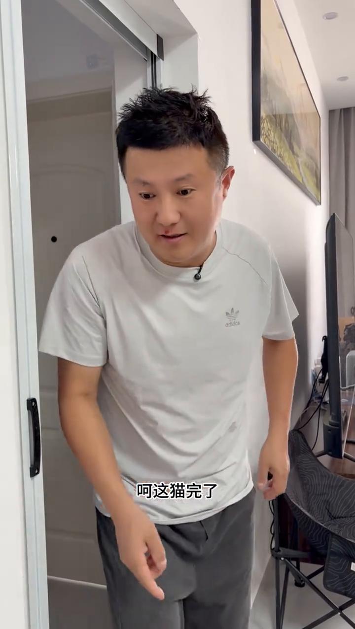 这猫完了。你有病，有病的猫扔了。
