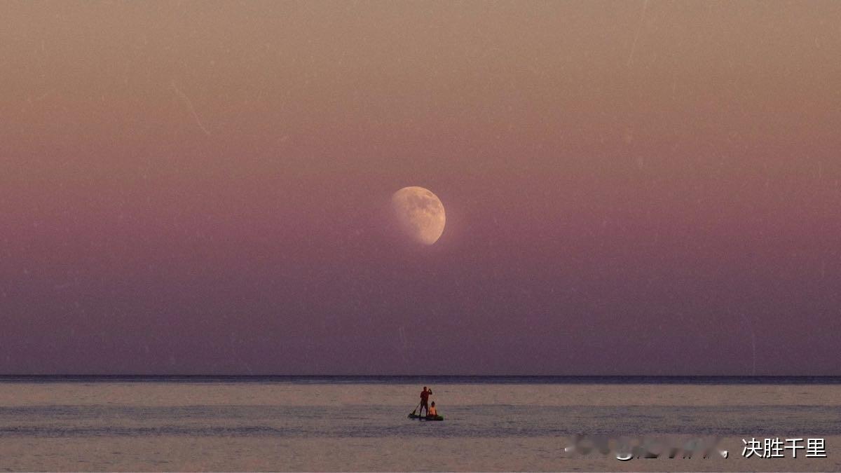 秋夜，潮湿的路上一阵阵迸发的情感；回忆夏天的树干和冬天的枝桠时，所有的欢乐和所有