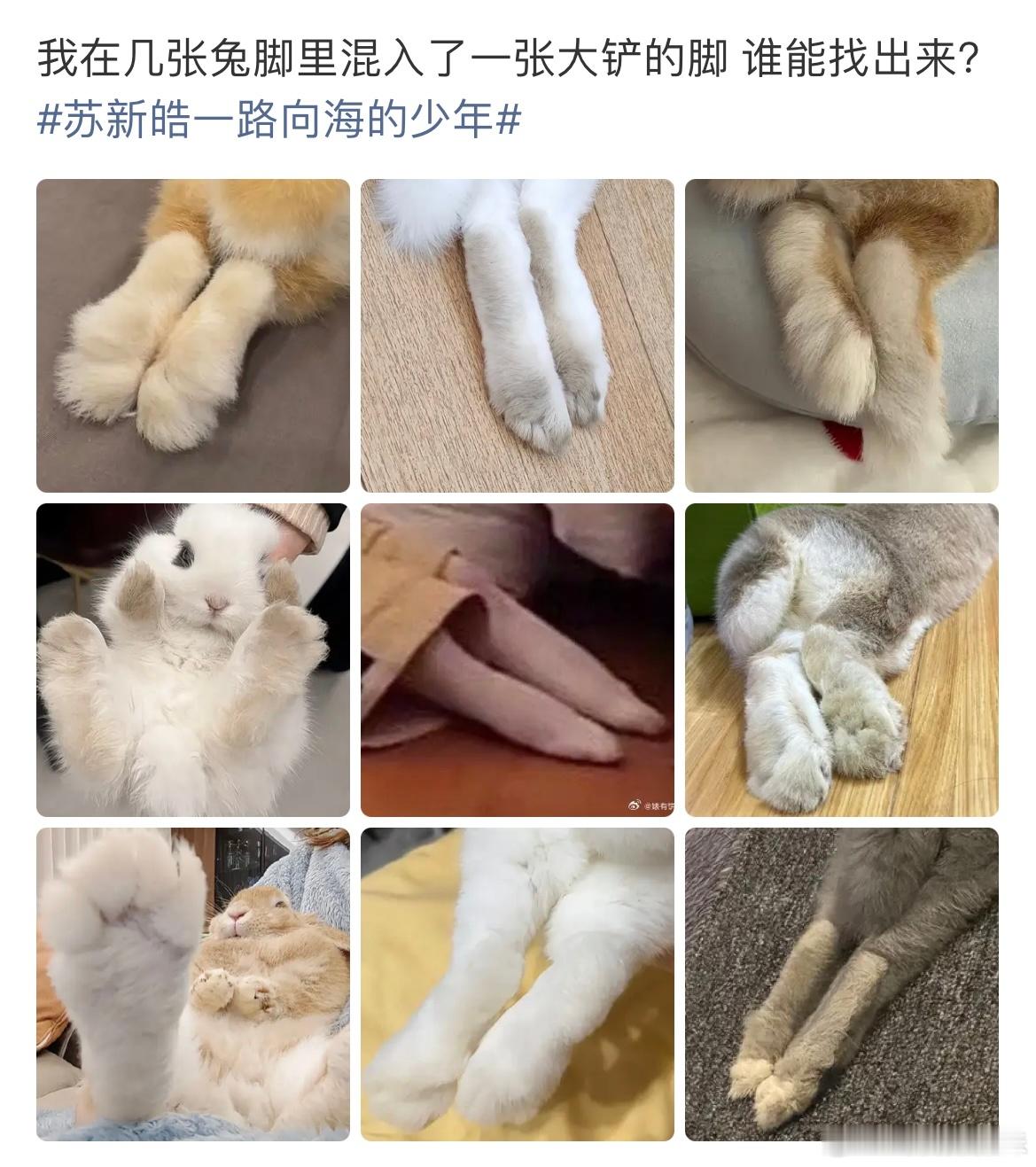 ？？？麦艾斯 