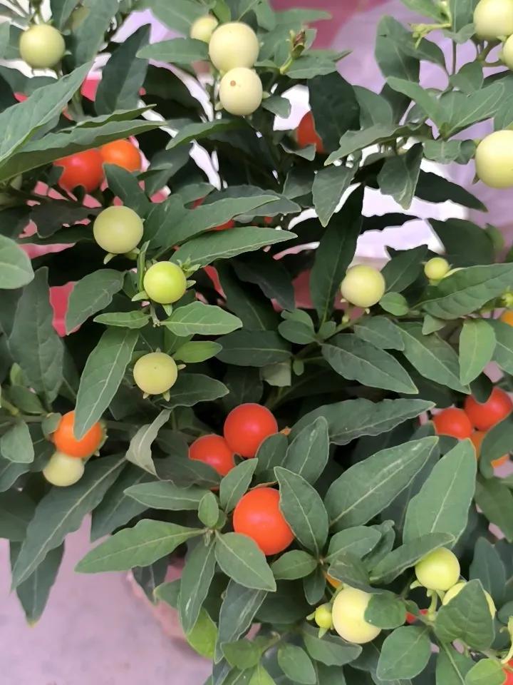 健康就好比空气，当一个人拥有它时，并不觉得有多么的珍贵，当失去它时方知：健康就是