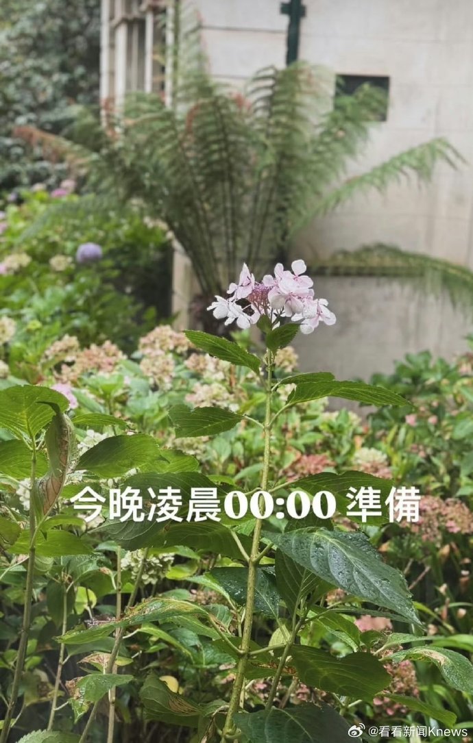 #周杰伦疑似为新歌预热#【周杰伦社媒发文：今晚0点准备！】3月17日，周杰伦发文