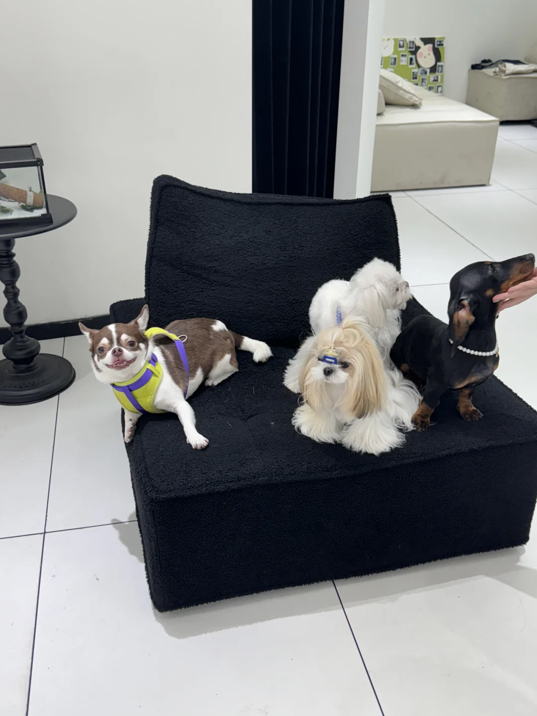 i人小扑满｜出来社交啦