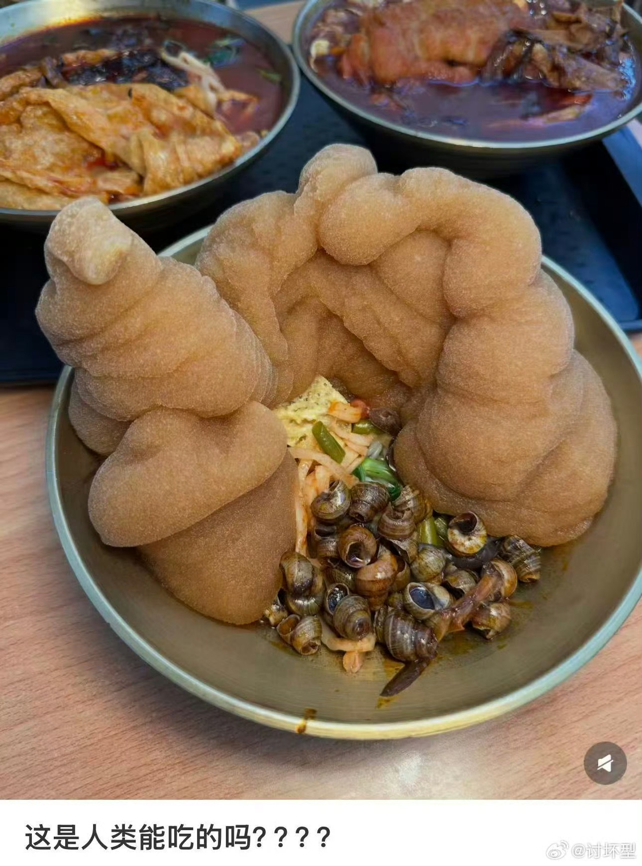 我不知道螺蛳粉你这是怎么了好好的螺蛳粉为什么要整这么多黑暗料理 看着好恶心 