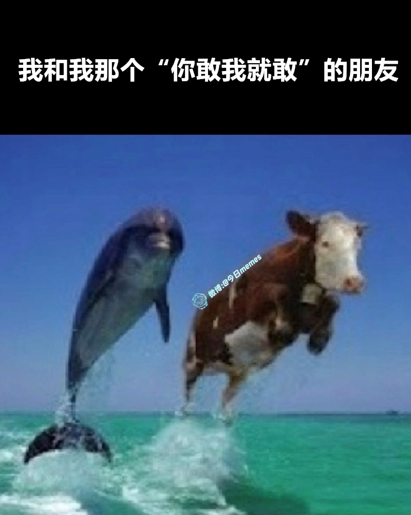走呗（9gag）今日meme 今日memes
