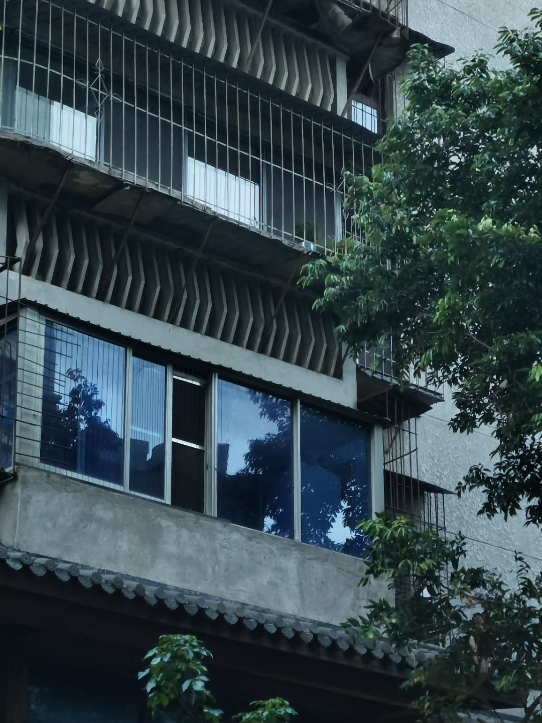 散步随手拍 
