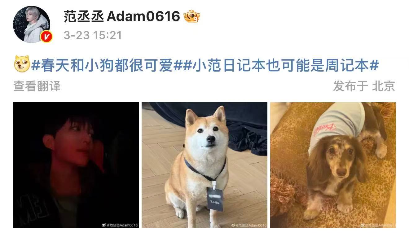 范丞丞的狗狗艺人团队范丞丞的狗狗有工作证 3月23日，晒自己的狗狗照片，狗狗脖子