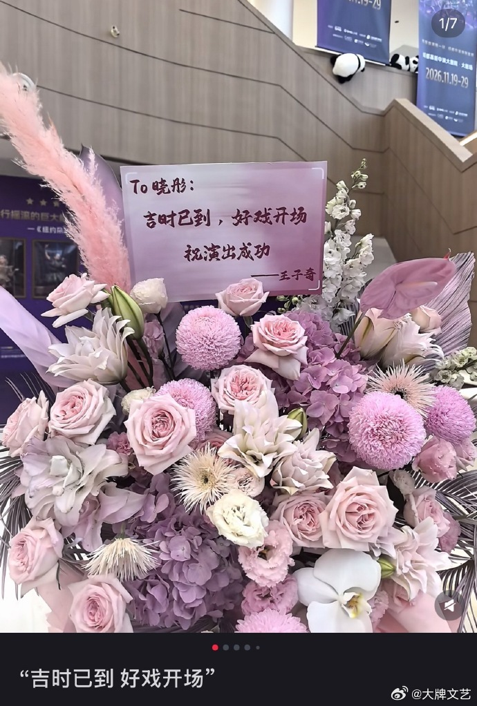 不会送花的看看王子奇  王子奇很懂送花，而且王子奇有点浪漫在身上，每个花朵都是礼