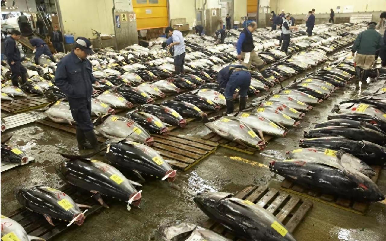 1. 中方拒见高市早苗 日方仍心存幻想：高市早苗发表错误涉台言论引发中方反制，中