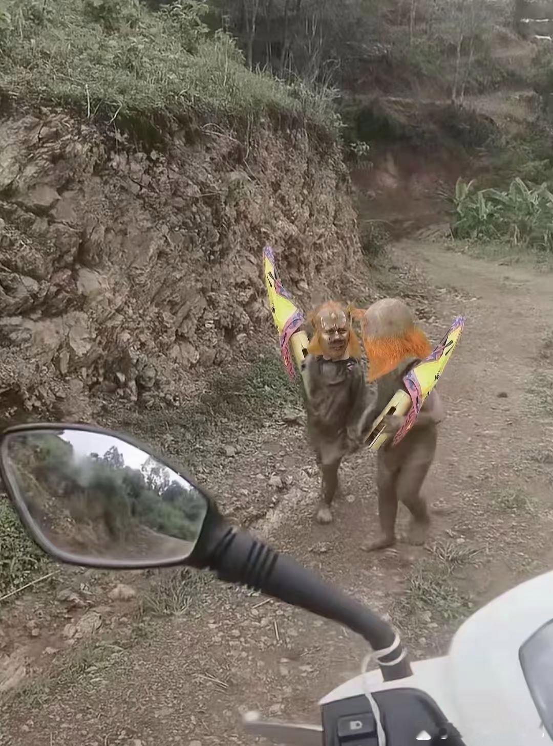 突然看到这两个还把我吓一跳[呲牙]