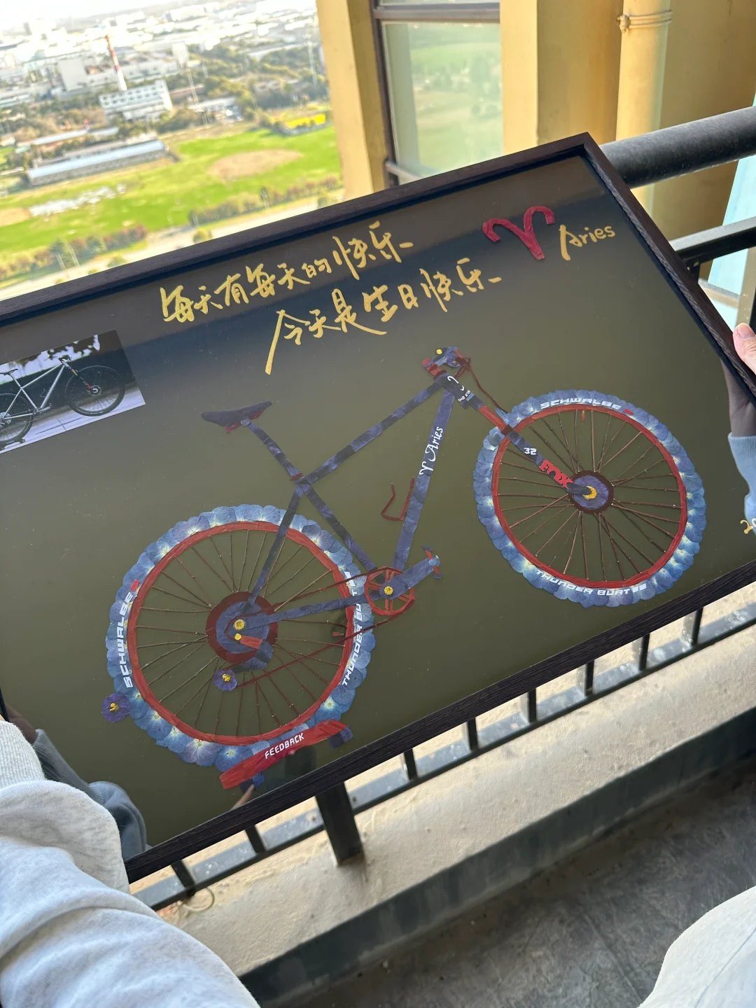 每天有每天的快乐！今天是生日快乐！