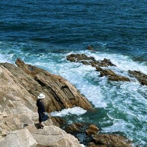 到处游走的会会