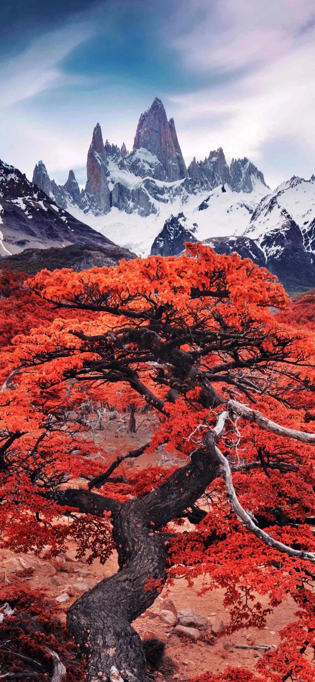 道德经：五色令人目盲，五色指的是青赤白黑黄，这里讲的不是眼睛看东西多了就会瞎掉。