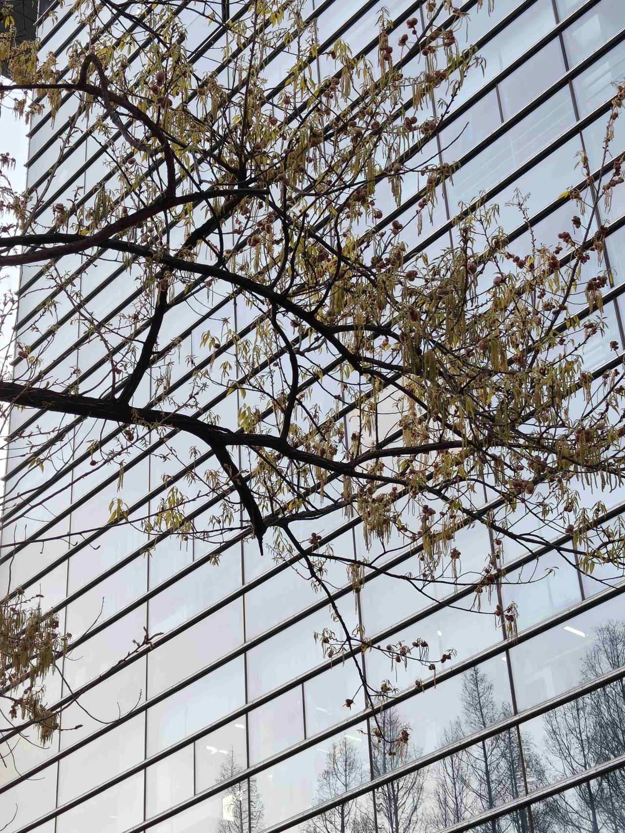 我的今日状态：🏝️旅行度假
我这里的天气：🌤️多云