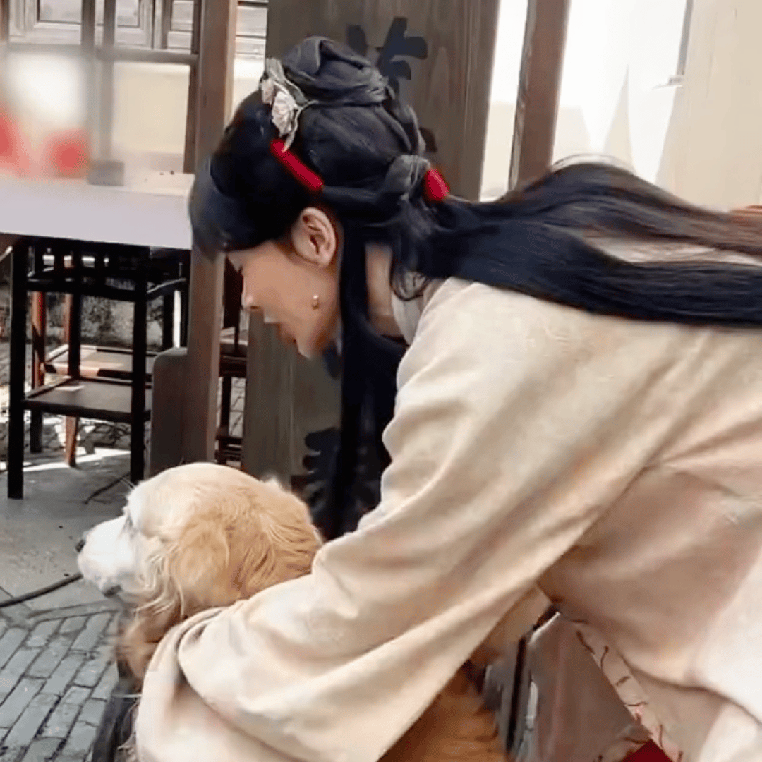 杨紫家业 杨紫李祯 你开心的时候，我的心情艳阳高照;你悲伤的时候，我的心情雷雨交